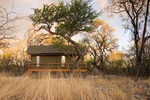 Mushara Outpost tent